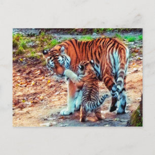 Carte Postale Maman et bébé tigre