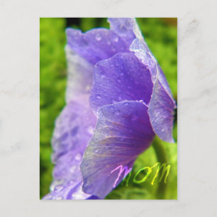 Carte Postale Maman Fleur