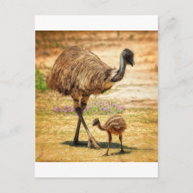 Carte Postale Maman garde un oeil sur son bébé (Devant)