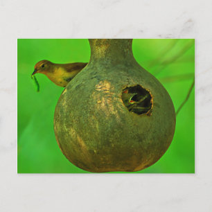 Carte Postale maman Je sais que tu es là