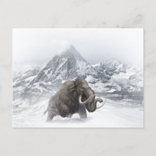 Carte Postale Mammifère laineux Période de glace animale préhist