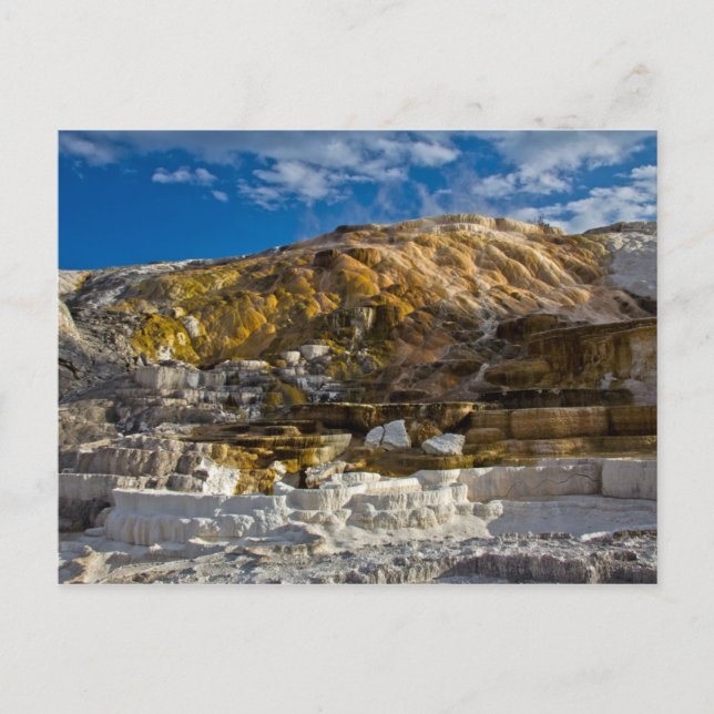 Carte Postale Mammoth Hot Spring (Devant)