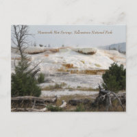 Mammoth Hot Springs, parc national Yellowstone
