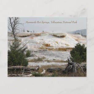 Carte Postale Mammoth Hot Springs, parc national Yellowstone
