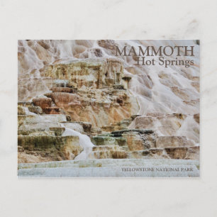 CARTE POSTALE MAMMOTH HOT SPRINGS, PARC NATIONAL YELLOWSTONE, WI