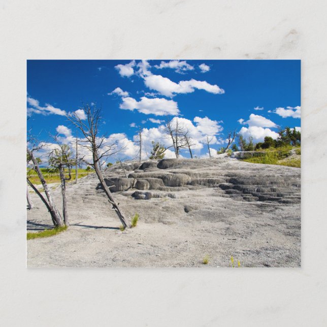 Carte Postale Mammoth Springs (Devant)