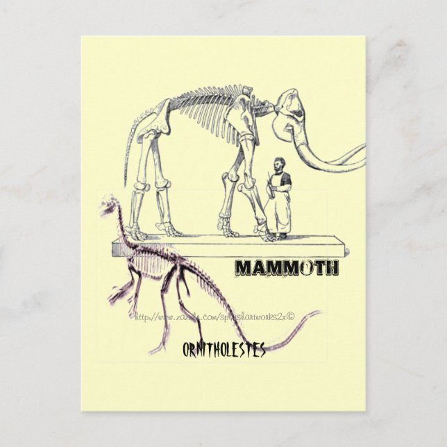 Carte Postale "Mammothe" (Devant)
