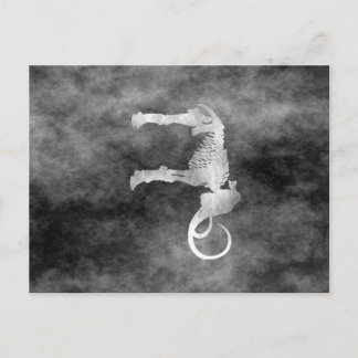 Carte Postale mammouth laineux