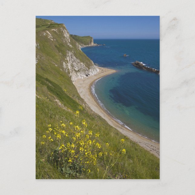 Carte Postale Man o War Bay, Jurassic Coast, Lulworth, Dorset, (Devant)
