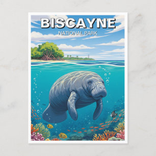 Carte Postale Manatee dans le parc national de Biscayne