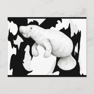 Carte Postale Manatee Postcard