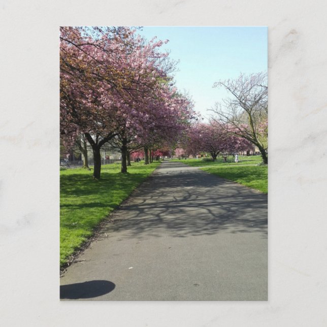 Carte Postale Manchester au printemps (Devant)