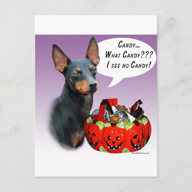 Carte Postale Manchester Terrier Halloween Candy (Devant)