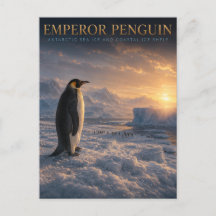 Manchot Empereur Glace Antarctique ANIMAUX