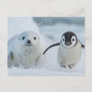 Carte Postale Manchot et ami phoque - Jouant dans la neige