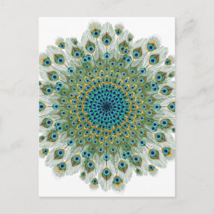 Carte Postale Mandala couleur Peacock Homme
