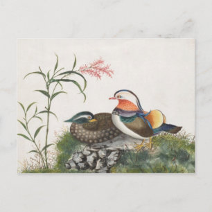 Carte Postale Mandarin Duck Chinese Painting