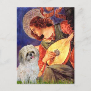 Carte Postale Mandolin Angel - Shih Tzu (P)