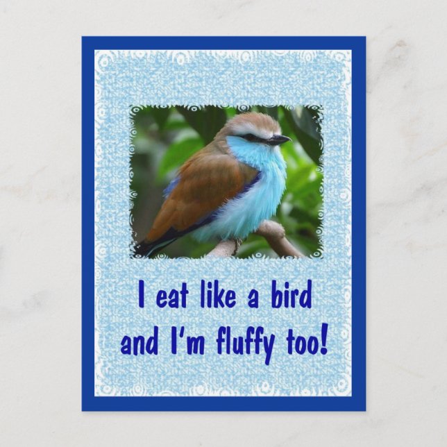 Carte Postale Mange comme un oiseau 2 (Devant)