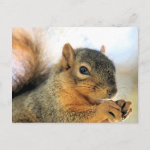 Carte Postale Manger