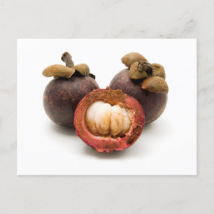 Carte Postale Mangosteen violet