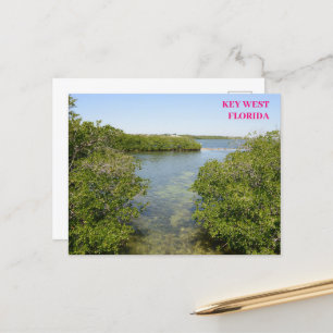 Carte Postale Mangroves Blue Ocean Waterway Key West Florida