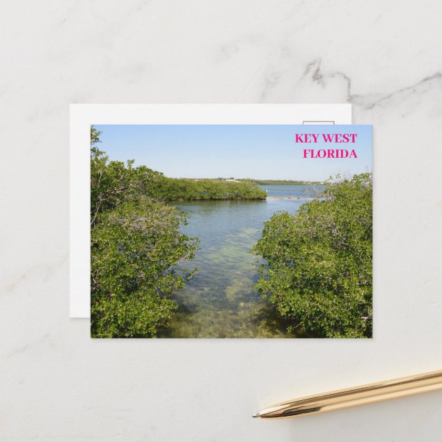 Carte Postale Mangroves Blue Ocean Waterway Key West Florida (Devant/Arrière en situation)
