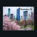 Carte Postale Manhattan, NY Cherry Blossom au printemps<br><div class="desc">Manhattan,  NY</div>