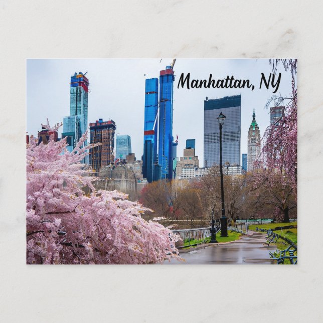 Carte Postale Manhattan, NY Cherry Blossom au printemps (Devant)