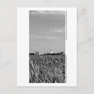 Carte Postale Mannheim - Skyline