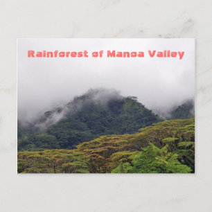 Carte Postale Manoa Valley Rainforest Postcard