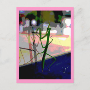 Carte Postale Mante de prière