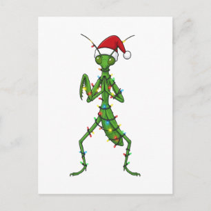 Carte Postale Mante religieuse Noël Vacances Insecte Bête
