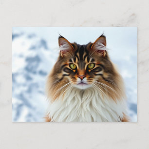 Carte Postale Manteau de Maine Coon dans un portrait sauvage de 