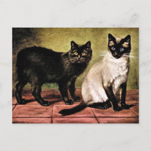 Carte Postale Manteau noir et chat royal de Siamese