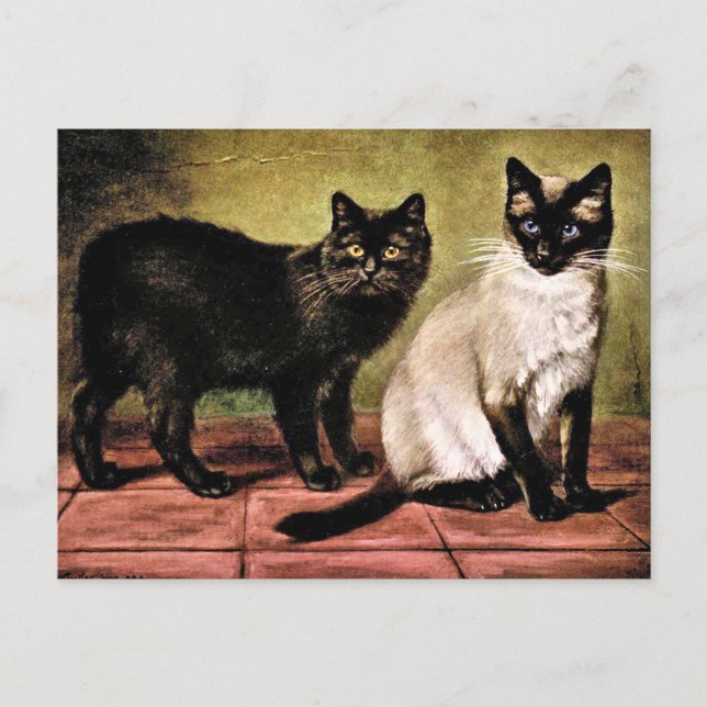 Carte Postale Manteau noir et chat royal de Siamese (Devant)
