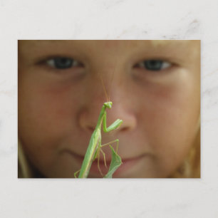 Carte Postale Mantis religiosa