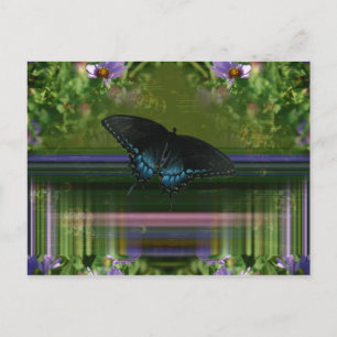 Carte Postale Mantle papillon