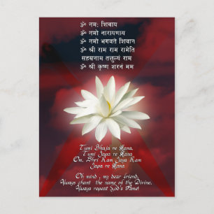 Carte Postale Mantra d'amour
