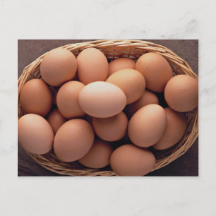 Carte Postale Many eggs in basket