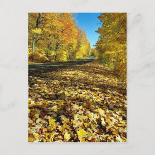 Carte Postale Maple feuilles and Fortune Parkway, Parc de la Gat