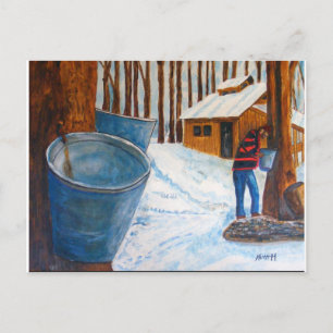 Carte Postale Maple Sugar Bush