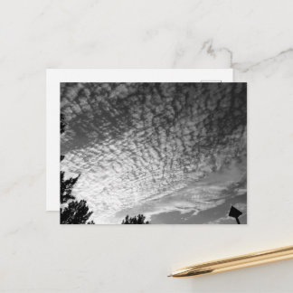 Carte Postale Maquereau Sky : Noir et Blanc