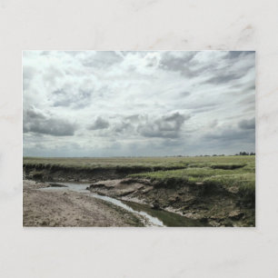 Carte Postale Marais