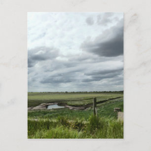 Carte Postale Marais