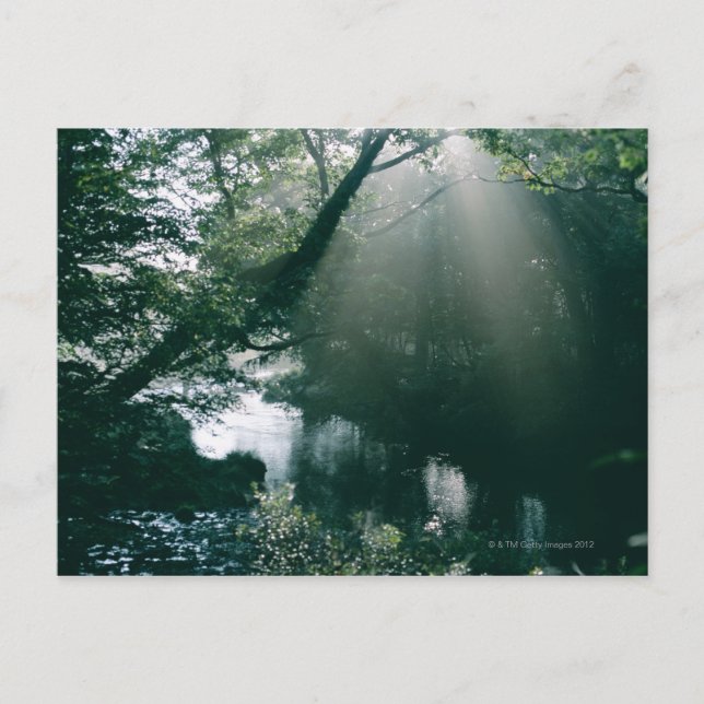 Carte Postale Marais 3 (Devant)