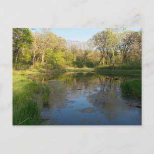 Carte Postale Marais de Battle Creek Park