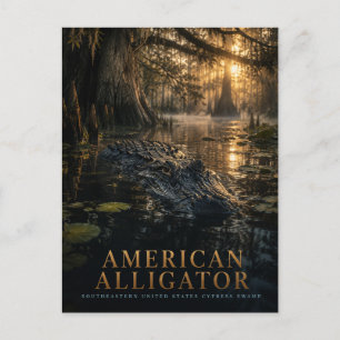 Carte Postale Marais de cyprès de l'alligator américain ANIMAUX