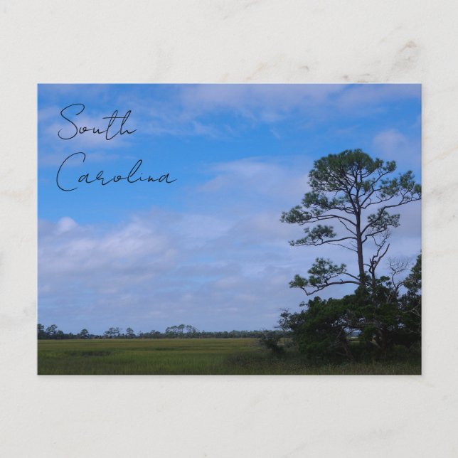 Carte Postale Marais de l'île de Hunting (Devant)