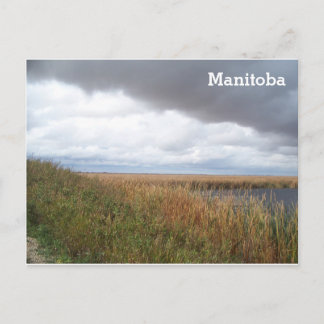 Carte Postale Marais de Oak Hammock